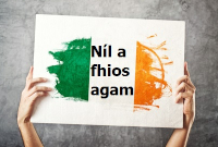 More students to be educated through Irish
